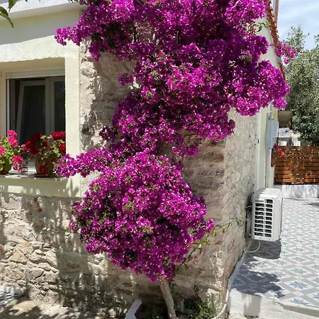 Mediterranean House *