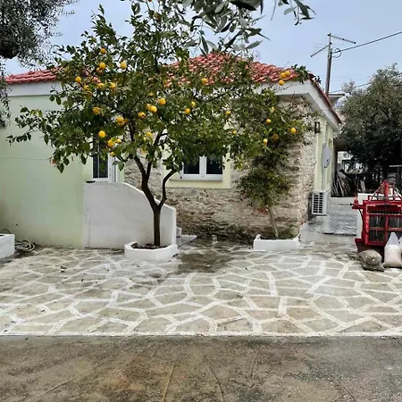 Mediterranean House Lägenhet Skala Sotiros